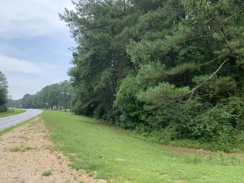 0 Highway 43, Mendenhall, MS 39114 photo 2