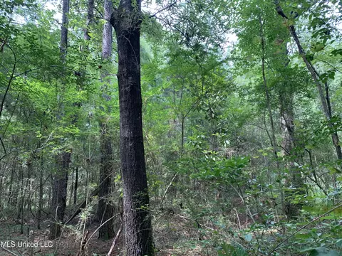 0 Highway 43, Mendenhall, MS 39114 photo 11