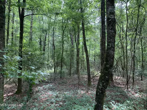 0 Highway 43, Mendenhall, MS 39114 photo 9