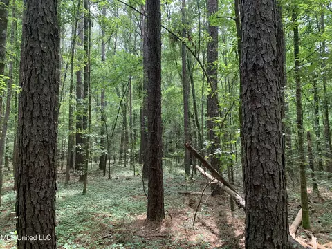 0 Highway 43, Mendenhall, MS 39114 photo 8