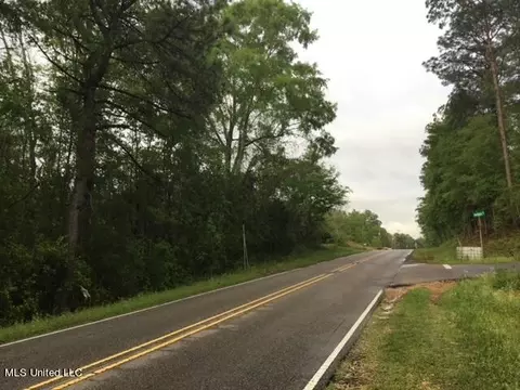 0 W Mc Henry Rd, Mchenry, MS 39561