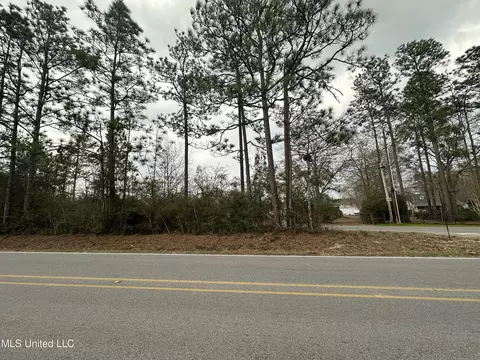 Shaw Road, Saucier, MS 39574 photo 2