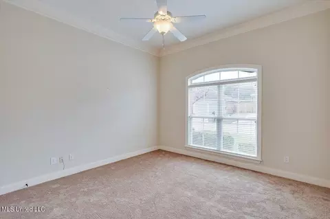 Other - 401 Stoneybrook Dr, Brandon, MS 39042 photo 9 of 9