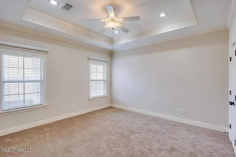Other - 401 Stoneybrook Dr, Brandon, MS 39042 photo 6 of 9