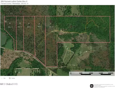 Parcel E 35.8 +/- Acres Luther Carter Road, Petal, MS 39465