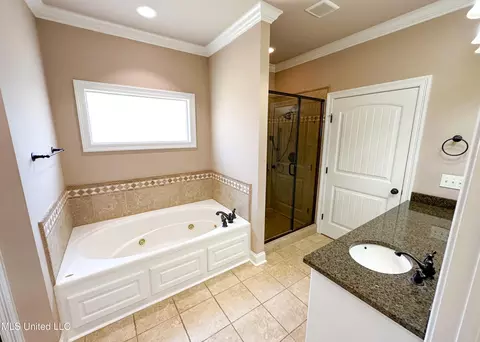 Bath - 140 Grandeur Dr, Brandon, MS 39042 photo 3 of 8