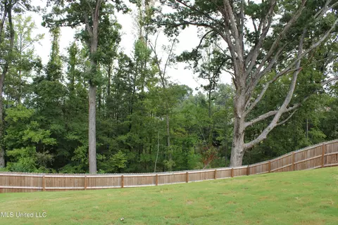 Exterior - 702 Dudley Dr, Hernando, MS 38632 photo 4 of 4