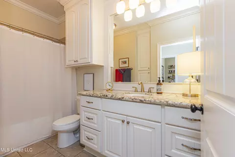 Bath - 238 Bellamy Ct, Flowood, MS 39232 photo 4 of 7