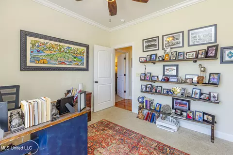 Other - 238 Bellamy Ct, Flowood, MS 39232 photo 4 of 6