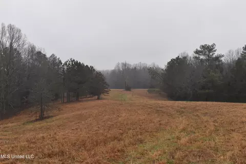 730 Concord Rd, Lamar, MS 38642 photo 21