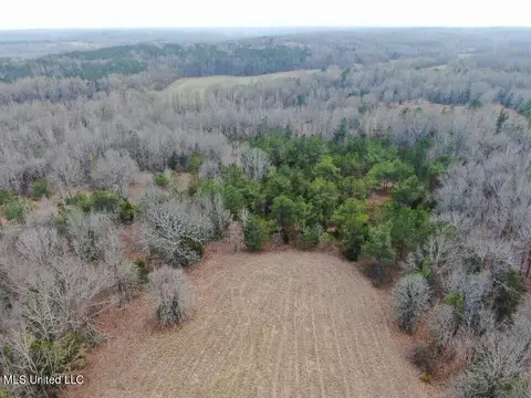 730 Concord Rd, Lamar, MS 38642 photo 7