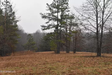 730 Concord Rd, Lamar, MS 38642 photo 22