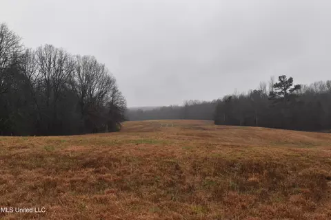 730 Concord Rd, Lamar, MS 38642 photo 17