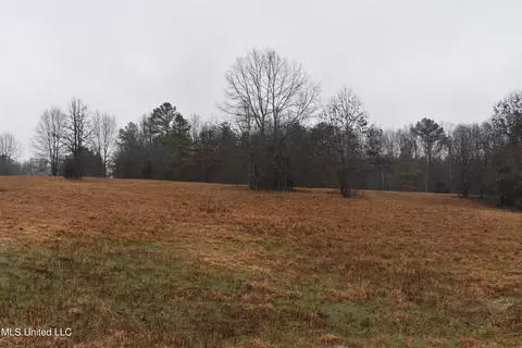 730 Concord Rd, Lamar, MS 38642 photo 18