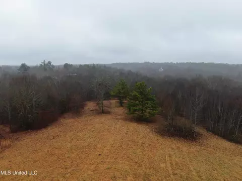 730 Concord Rd, Lamar, MS 38642 photo 9