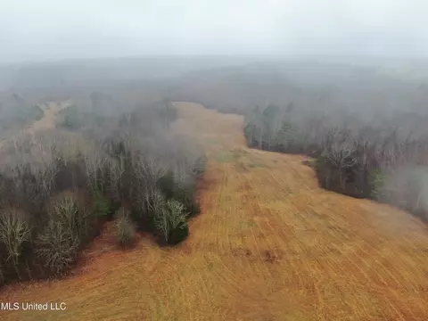 730 Concord Rd, Lamar, MS 38642 photo 11