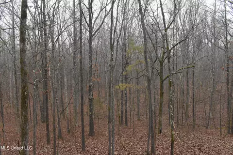 730 Concord Rd, Lamar, MS 38642 photo 20