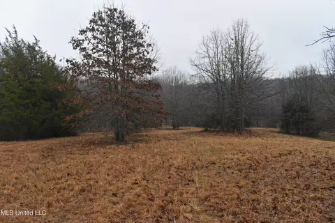 730 Concord Rd, Lamar, MS 38642 photo 25