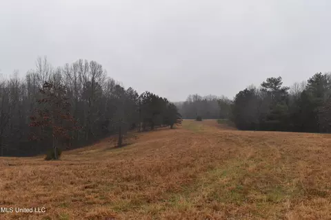 730 Concord Rd, Lamar, MS 38642 photo 16