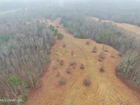 730 Concord Rd, Lamar, MS 38642 photo 10
