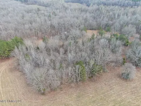 730 Concord Rd, Lamar, MS 38642 photo 6