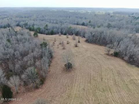 730 Concord Rd, Lamar, MS 38642 photo 5