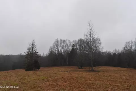 730 Concord Rd, Lamar, MS 38642 photo 23
