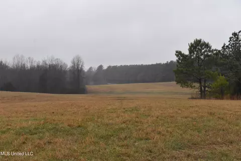 740 Concord Rd, Lamar, MS 38642 photo 20