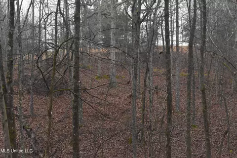 740 Concord Rd, Lamar, MS 38642 photo 31