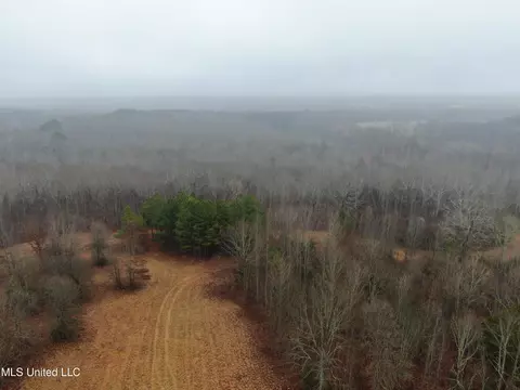 740 Concord Rd, Lamar, MS 38642 photo 10