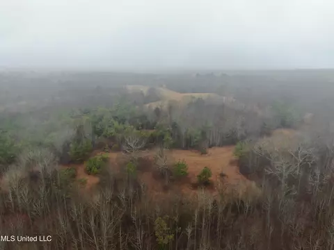 740 Concord Rd, Lamar, MS 38642 photo 14