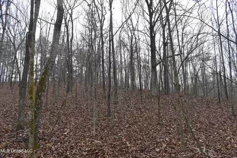 740 Concord Rd, Lamar, MS 38642 photo 25