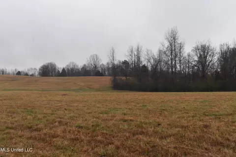 740 Concord Rd, Lamar, MS 38642 photo 17