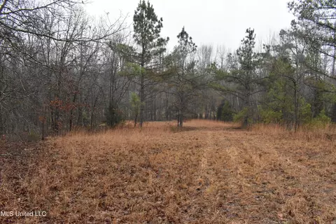740 Concord Rd, Lamar, MS 38642 photo 33