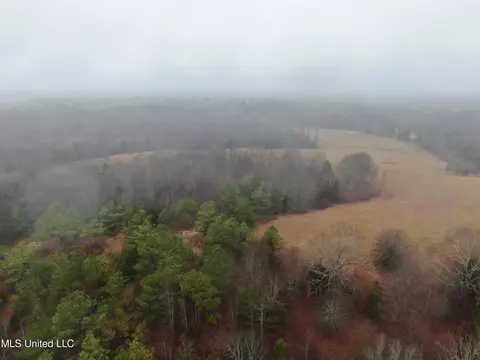 740 Concord Rd, Lamar, MS 38642 photo 15