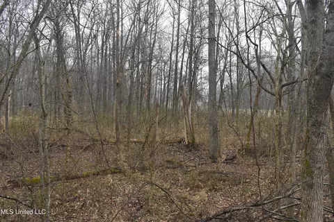 740 Concord Rd, Lamar, MS 38642 photo 34