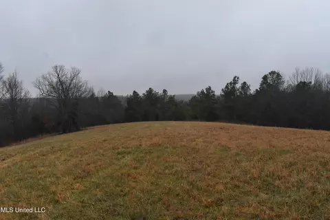 740 Concord Rd, Lamar, MS 38642 photo 18
