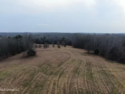 740 Concord Rd, Lamar, MS 38642 photo 4