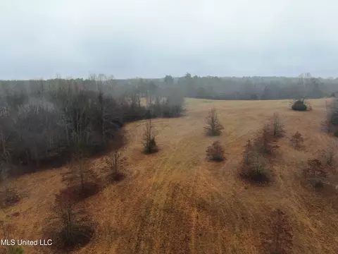 740 Concord Rd, Lamar, MS 38642 photo 11