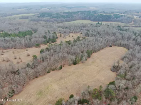 740 Concord Rd, Lamar, MS 38642 photo 3