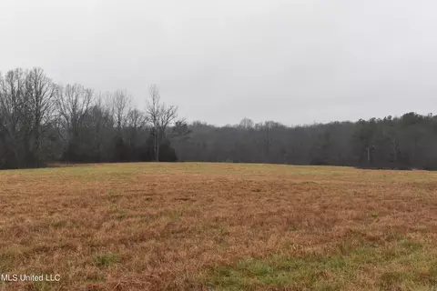 740 Concord Rd, Lamar, MS 38642 photo 16