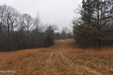 740 Concord Rd, Lamar, MS 38642 photo 21