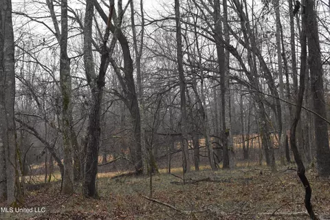 740 Concord Rd, Lamar, MS 38642 photo 38
