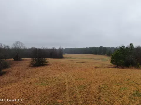 740 Concord Rd, Lamar, MS 38642 photo 9