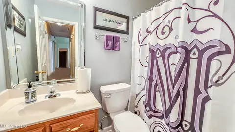 Bath - 7635 Broken Hickory Dr, Walls, MS 38680 photo 2 of 2