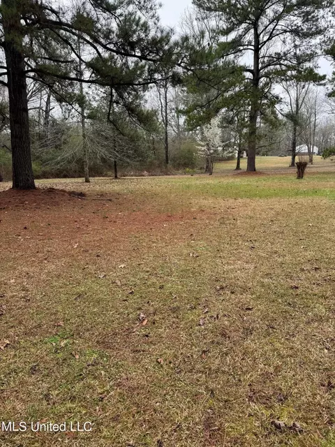 Exterior - 156 Garrett Rd, Florence, MS 39073 photo 13 of 14