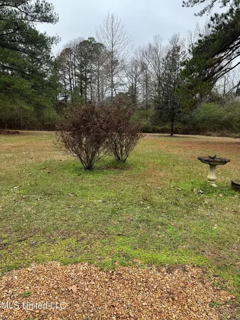 Exterior - 156 Garrett Rd, Florence, MS 39073 photo 6 of 14