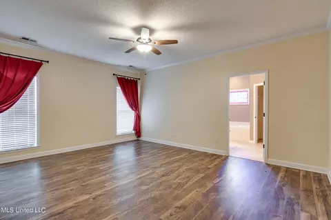 Other - 1680 Cedar Lake Cv, Hernando, MS 38632 photo 3 of 22