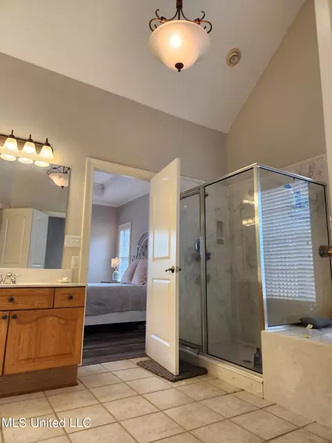 Bath - 1750 Ready Dr, Hernando, MS 38632 photo 10 of 13