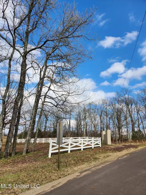 View/Area - 1750 Ready Dr, Hernando, MS 38632 photo 1 of 6